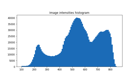 Image intensities histogram