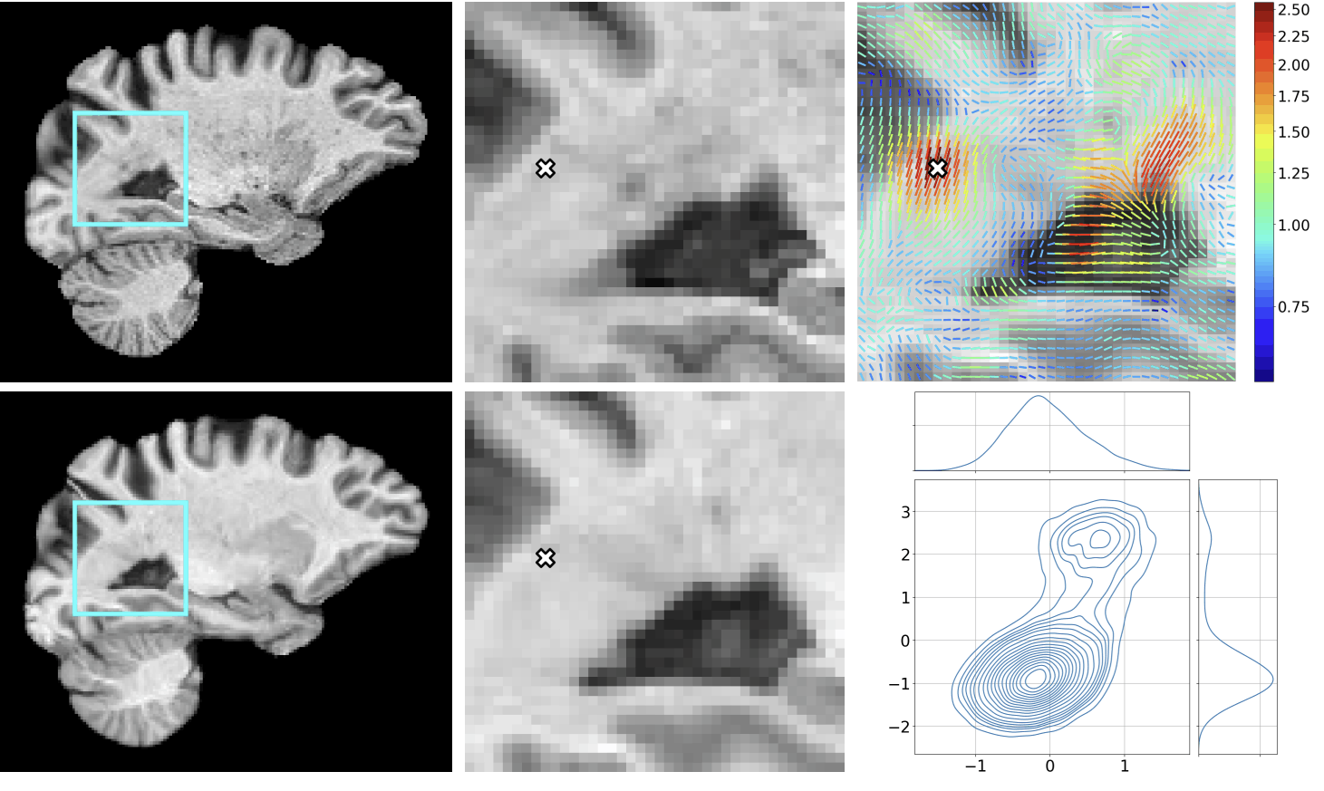 BINDER probabilistic registration