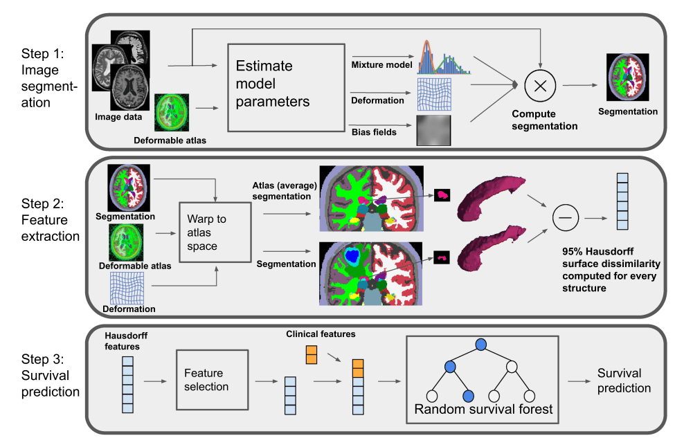 Tumor survival prediction